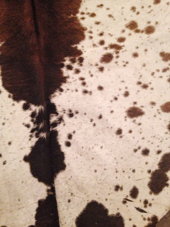 Tricolour cowhide rug close-up