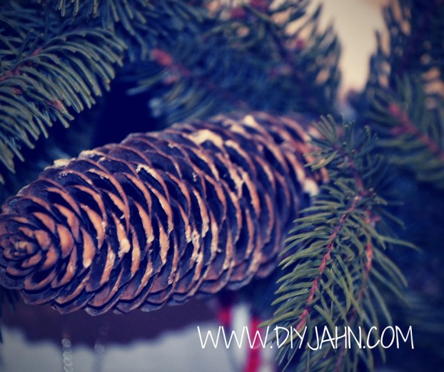 Pine cones for DIY Christmas wreath