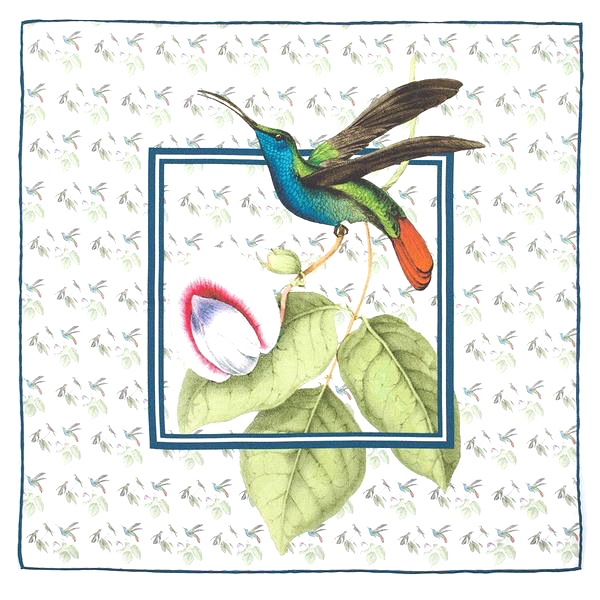 Hummingbird Swainson pocket square