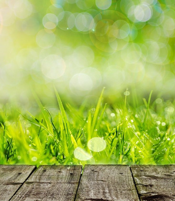 Lawn maintenance, grass and deck