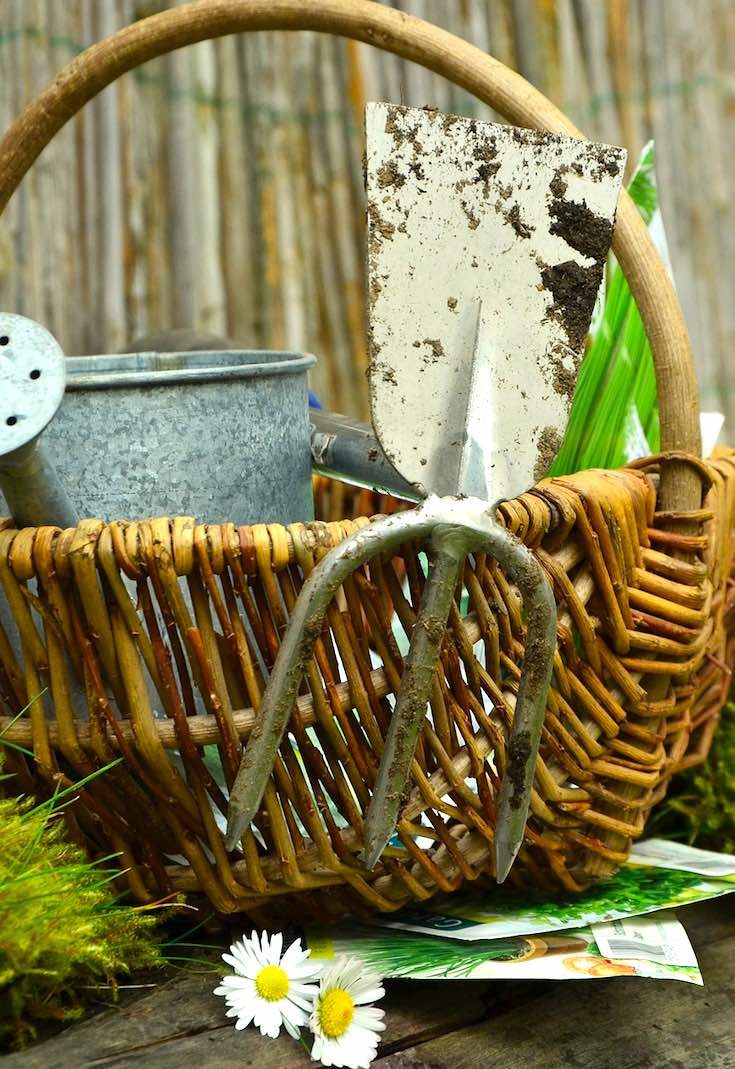 Garden tools in basket