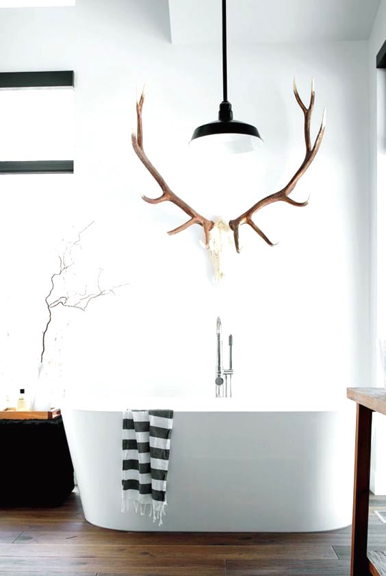 Deer antlers decor