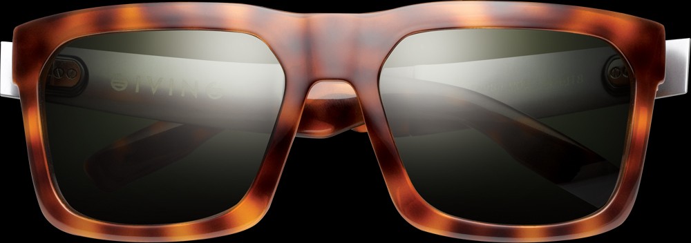 Giving tortoise sunglasses