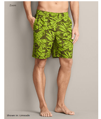 Men's Tidal Shorts Eddie Bauer Motion