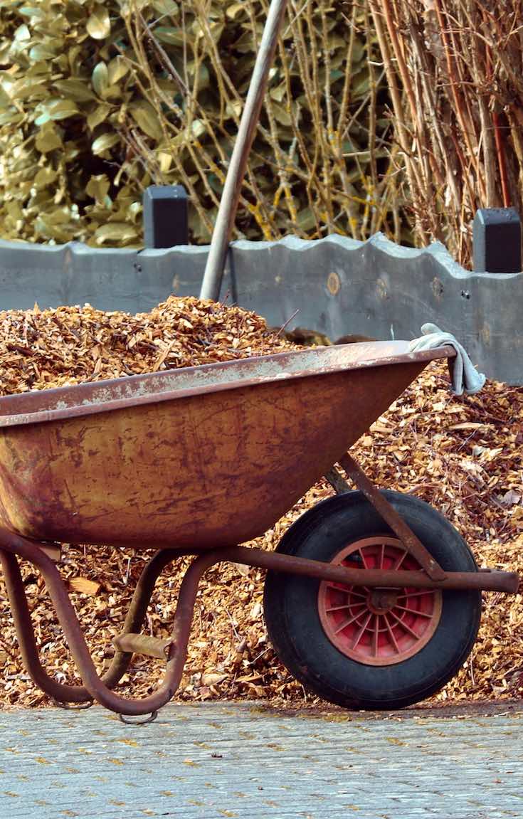 Mulch in wheel barrel